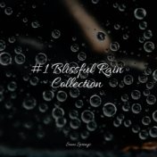 #1 Blissful Rain Collection