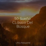 50 Sueño CLásico Del Bosque