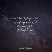 Sonidos Relajantes | Enfoque en El Sueño Y la Meditación