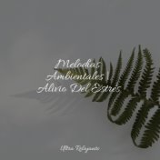 Melodías Ambientales | Alivio Del Estrés