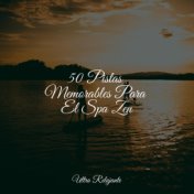 50 Pistas Memorables Para El Spa Zen