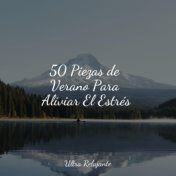 50 Piezas de Verano Para Aliviar El Estrés