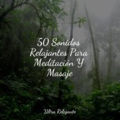 50 Sonidos Relajantes Para Meditación Y Masaje