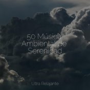 50 Música Ambiental de Serenidad