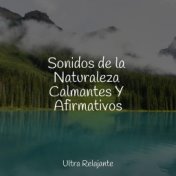 Sonidos de la Naturaleza Calmantes Y Afirmativos