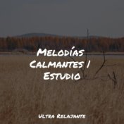 Melodías Calmantes | Estudio