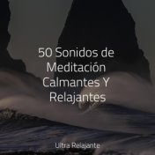 50 Sonidos de Meditación Calmantes Y Relajantes