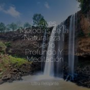 Suaves Melodías de la Naturaleza | Sueño Profundo Y Meditación
