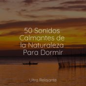 50 Sonidos Calmantes de la Naturaleza Para Dormir