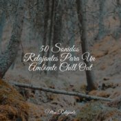 50 Sonidos Relajantes Para Un Ambiente Chill Out