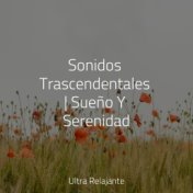 Sonidos Trascendentales | Sueño Y Serenidad