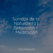 Sonidos de la Naturaleza | Relajación Y Meditación