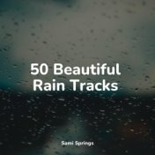 50 Beautiful Rain Tracks