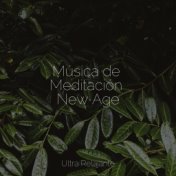 Música de Meditación New Age