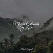 Música Calmada Y Lenta