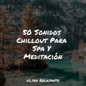 50 Sonidos Chillout Para Spa Y Meditación