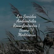 Los Sonidos Ambientales Reconfortantes | Sueño Y Meditación