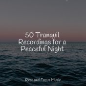50 Tranquil Recordings for a Peaceful Night