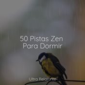 50 Pistas Zen Para Dormir