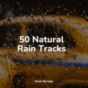50 Natural Rain Tracks