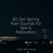 60 Zen Spring Rain Sounds for Spa & Relaxation