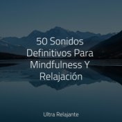 50 Sonidos Definitivos Para Mindfulness Y Relajación