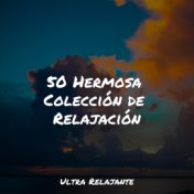 50 Hermosa Colección de Relajación