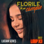 Florile de pe câmpie (2022 Loop X3)