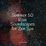 Summer 50 Rain Soundscapes for Zen Spa