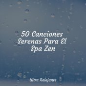 50 Canciones Serenas Para El Spa Zen