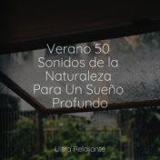 Verano 50 Sonidos de la Naturaleza Para Un Sueño Profundo