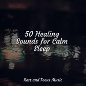 50 Healing Sounds for Calm Sleep