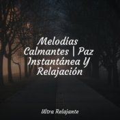 Melodías Calmantes | Paz Instantánea Y Relajación