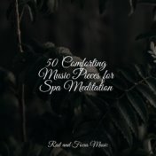 50 Comforting Music Pieces for Spa Meditation