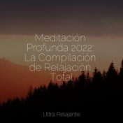 Meditación Profunda 2022: La Compilación de Relajación Total