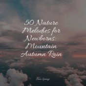 50 Nature Melodies for Newborns: Mountain Autumn Rain