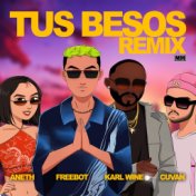 Tus Besos - Remix