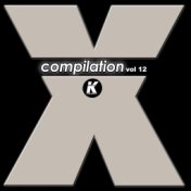 X COMPILATION, Vol. 12