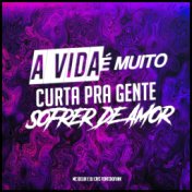 A Vida É Muito Curta pra Gente Sofrer de Amor