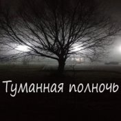 Туманная полночь