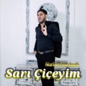 Sarı ciceyim