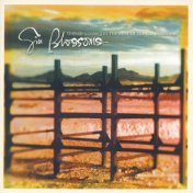 Outside Looking In: The Best Of The Gin Blossoms