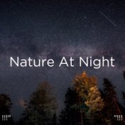 !!!"  Nature At Night "!!!