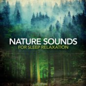 Nature Sounds for Sleep Relaxation