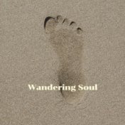 Wandering Soul