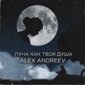 ALEX ANDREEV