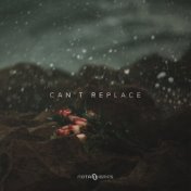 Can't Replace