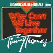 Why Can't We Live Together (Gregor Salto & Ibitaly Remix)