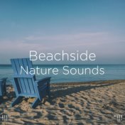 !!!" Beachside Nature Sounds "!!!