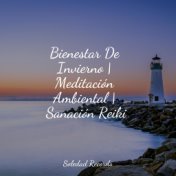 Bienestar De Invierno | Meditación Ambiental | Sanación Reiki